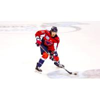 Defenseman Victor Hadfield with the South Carolina Stingrays