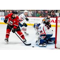 Springfield Thunderbirds goaltender Joel Hofer vs. the Charlotte Checkers