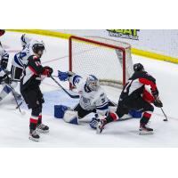 Prince George Cougars test the Victoria Royals goaltender