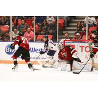 Vancouver Giants goaltender Will Gurski vs. the Tri-City Americans