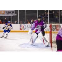 Goaltender Sammy Bernard with the Knoxville Ice Bears