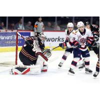 Regina Pats vs. the Calgary Hitmen goaltender
