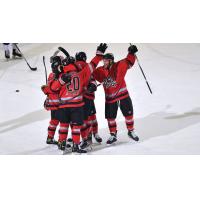 Adirondack Thunder celebrate a goal against the Maine Mariners
