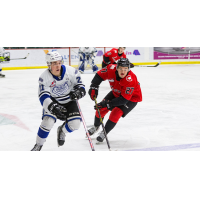 Victoria Royals right wing Anthony Wilson (left) vs. the Prince George Cougars