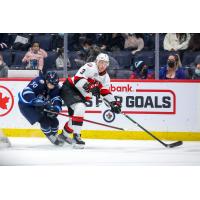 Belleville Senators defenceman Dillon Heatherington vs the Manitoba Moose