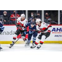 Belleville Senators right wing Egor Sokolov (right) vs. the Manitoba Moose