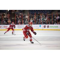 Rapid City Rush winger Stephen Baylis
