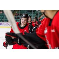 Prince George Cougars celebrate a goal