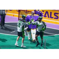Saskatchewan Rush exchange congratulations after a goal against the San Diego Seals