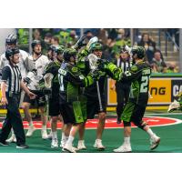 Saskatchewan Rush celebrate a goal against the Calgary Roughnecks