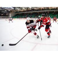 Belleville Senators defenceman Michael Del Zotto (right) vs. the Utica Comets