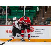 Belleville Senators defenceman Michael Del Zotto (right) up against the boards vs. the Utica Comets