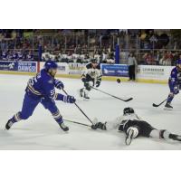 Roanoke Rail Yard Dawgs defenseman Bryce Martin
