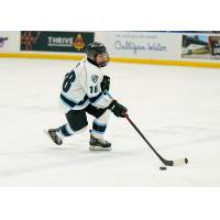 Winnipeg ICE defenseman Jonas Woo