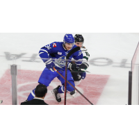 Wichita Thunder forward Matteo Gennaro