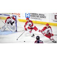 Allen Americans goaltender Daniel Manella and his defense vs. the Tulsa Oilers