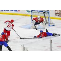 Branden Troock of the Allen Americans readies a shot against the Wichita Thunder