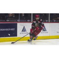 Grand Rapids Griffins defenseman Luke Witkowski