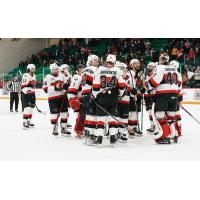 Belleville Senators celebrate a goal against the Hershey Bears