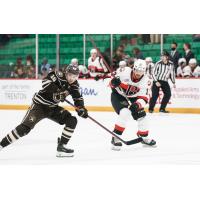 Belleville Senators right wing Egor Sokolov vs. the Hershey Bears