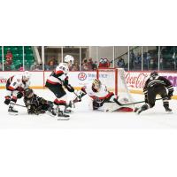 Belleville Senators goaltender Mads Sogaard vs. the Hershey Bears
