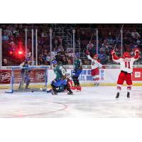 Allen Americans light the lamp against the Wichita Thunder