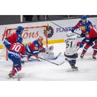 Cam MacDonald of the Saint John Sea Dogs shoots againt the Halifax Mooseheads