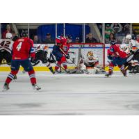 Springfield Thunderbirds test the Lehigh Valley Phantoms