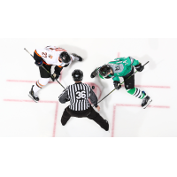 Binghamton Black Bears face off with the Danbury Hat Tricks
