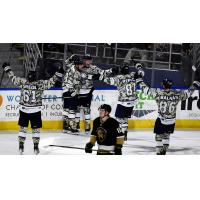 Worcester Railers react after a goal against the Newfoundland Growlers