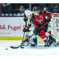 Vancouver Giants defenceman Connor Horning vs. the Everett Silvertips