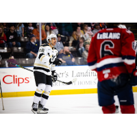 Wheeling Nailers forward Patrick Watling vs. the Kalamazoo Wings