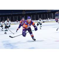 Forward Dylan Fitze with the Orlando Solar Bears