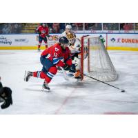 Springfield Thunderbirds forward Nathan Walker