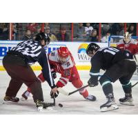Rapid City Rush center Calder Brooks (middle)