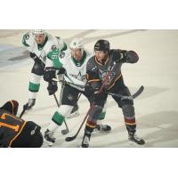 Texas Stars take on the Chicago Wolves