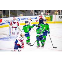 Maine Mariners celebrate a goal against the South Carolina Stingrays