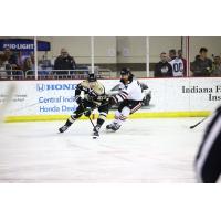 Wheeling Nailers forward Matt Alfaro (left) vs. the Indy Fuel