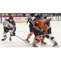 Worcester Railers HC forward Jacob Hayhurst (right) takes on the Reading Royals