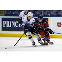 Kelowna Rockets battle the Victoria Royals