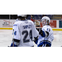 Victoria Royals defenceman Luke Shipley and right wing Marcus Almquist