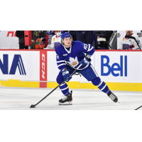 Defenseman Brennan Menell with the Toronto Marlies