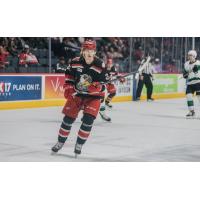 Grand Rapids Griffins center Chase Pearson