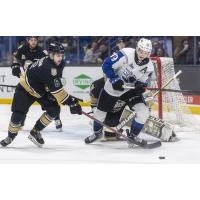 Saint John Sea Dogs centre Philippe Daoust (right) vs. the Charlottetown Islanders
