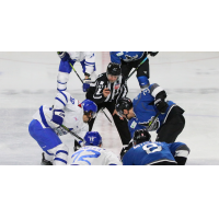 Wichita Thunder square off with the Idaho Steelheads