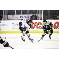 Wheeling Nailers forward Jared Cockrell (right) vs. the Indy Fuel