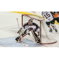 Rapid City Rush goaltender Danny Battochio