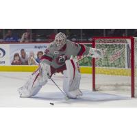 Grand Rapids Griffins goaltender Calvin Pickard