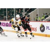 Belleville Senators right wing Parker Kelly (right) vs. the Wilkes-Barre/Scranton Penguins