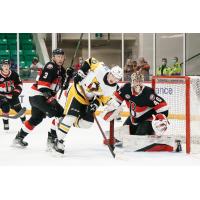 Belleville Senators goaltender Mads Sogaard vs. the Wilkes-Barre/Scranton Penguins